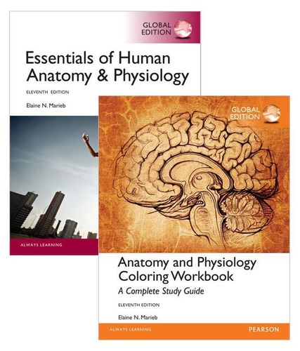 NEW Value Pack Essentials of Human Anatomy & Physiology Global Edition + Anatomy eBay